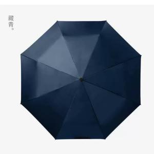 Big size Umbrella